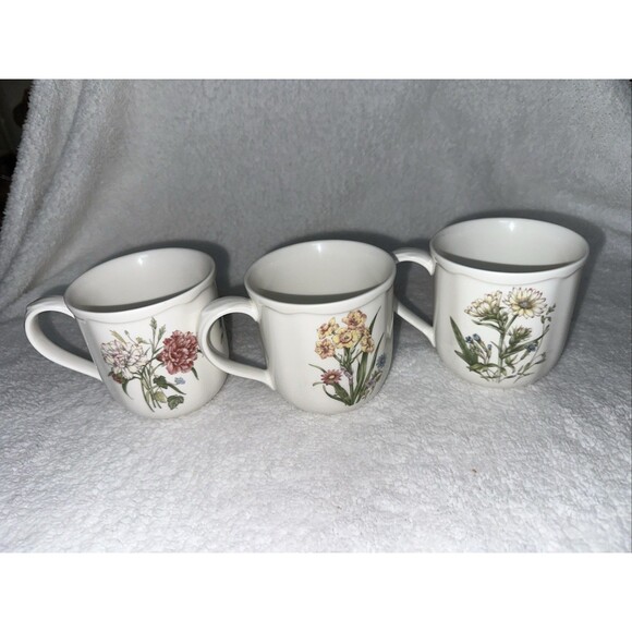 Noritake GOURMET GARDEN Mug Made in Sri Lanka GREAT CONDITION Set Of 3 - Picture 1 of 7